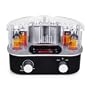 Roth Audio Music Cocoon MC4 Tube Amplifier with iPod Dock
