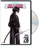 Bleach, Vol. 28