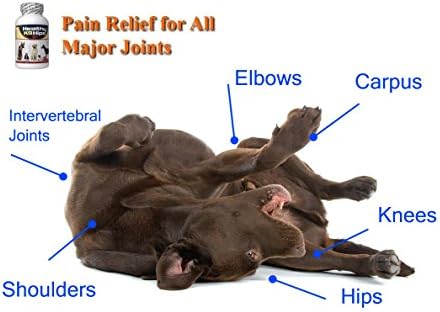 Healthy Labrador Hips for Joint and Hip Pain -- 90 Bacon Flavored chewable tablets -- Includes Free Ebook How to Increase Your Labrador's Lifespan: Add 3, 4, Even 5 Healthy and Active Years to Your Pets Life - 90 Day Money-back Guarantee