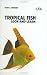 Books : Tropical Fish: Look-And-Learn (Look & Learn)