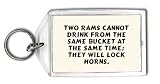 Review SHOPZEUS  / Two rams cannot drink from the same bucket at the same time; they will lock horns. Keychain