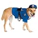 Police Dog Pet Costume, Large