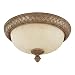 Bathroom Light Fixtures Gold
Capital Lighting Fixtures Bathroom Light Fair Three Light Ceiling Light Fixture With A SPICE WITH SILVER AND GOLD Finish 2165SP