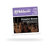 D'Addario Acoustic Strings Set, Phosphor Bronze Cst, Lite