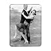 Su Pollard - iPad Cover (Protective Sleeve) - Art247 - IPads 1 And 2