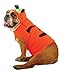 Zelda Pumpkin Dog Costume - Pet Costume - Medium