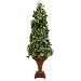 Ash Cone Faux Topiary - Green