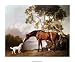 Bay Horse and White Dog Sports Art Poster Print by George Stubbs, 30x24