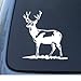 DEER - Hunter Hunting Buck - Car, Truck, Notebook, Vinyl Decal Sticker #1175 | Vinyl Color: White
