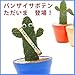 バンザイサボテン ブルー【送料無料】