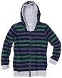 Splendid Littles Toddler Boys Gradient Stripe Hoodie