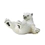Vanishing Wild Polar Bear Cub