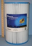 Pentair R173214 75 Sq. Ft. Clean & Clear Replacement Filter Cartridge