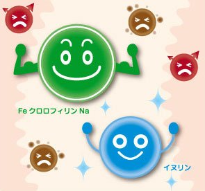 口臭、体臭、ワキガ、加齢臭、便臭、汗の臭いと戦う消臭サプリメント[Feクロロフィル]