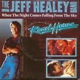 WHEN THE NIGHT COMES FALLING FROM THE SKY