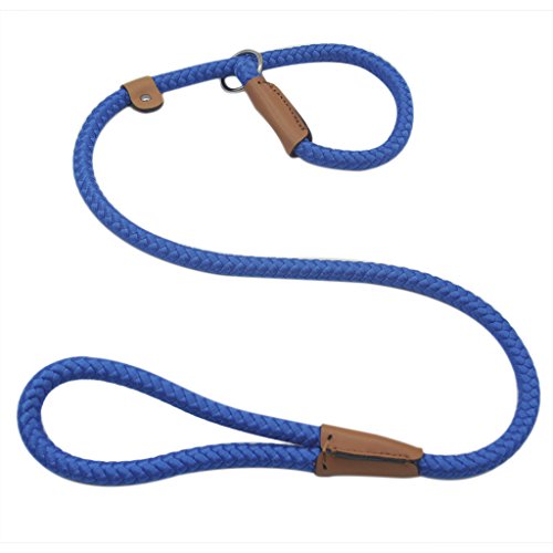 Best Training Leash For Puppies Dogware Space