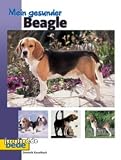 Eigenschaften Bede  / Bede Mein gesunder Beagle