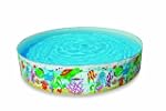 Intex 8-Inch X 18-Inch Sun Fish Snaps...