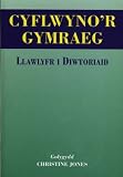 Cyflwyno d Cymraeg: Llawlyfr I Diwtoriald