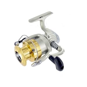 Daiwa Sweepfire 4000B Saltwater Spin Fishing Reel NEW by