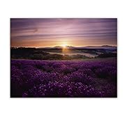 Lavender Sunset Wall Art