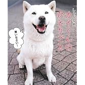 しゃべる犬 カイくんのひとりごと