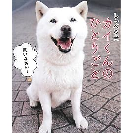 しゃべる犬 カイくんのひとりごと