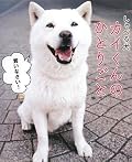 CMの方がかわいい。