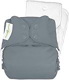 BumGenius 4.0 One-Size Cloth Diaper - Armadillo - Snap
