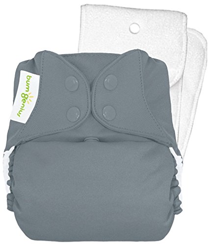 BumGenius 4.0 One-Size Cloth Diaper - Armadillo - Snap