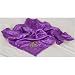 Louisiana State Fightin Tigers NCAA Baby Blanket
