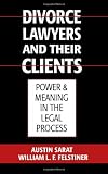 Divorce Lawyers and Their Clients: Power and Meaning in the Legal Process