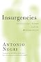 Insurgencies: Constituent Power and the Modern State (Theory Out of Bounds)