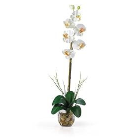 New Nearly Natural Single Phalaenopsis Liquid Illusion Silk Flower Arrangement Orchid/White/Yellow