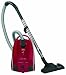 AEG Smart 485 Bodenstaubsauger rot