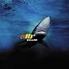  Killer (Single)