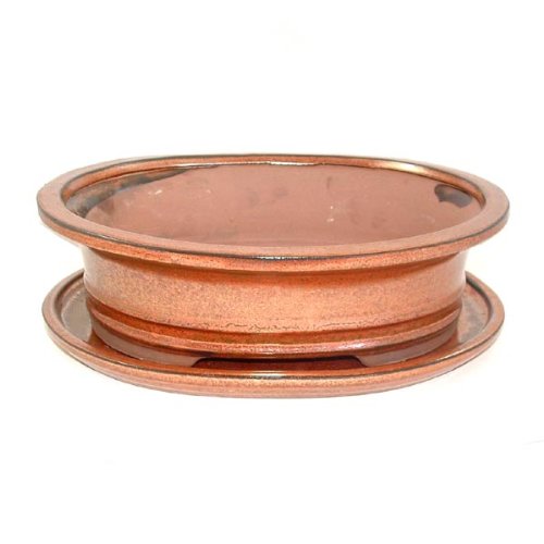 26cm Brown Oval Bonsai Pot and Tray Set