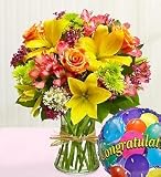 Flowers by 1800Flowers - Fields of Europe Congratulations - Medium