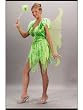 Neverland Fairy Costume Story Book Character Fairy Tale Costume