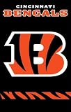 Cincinnati Bengals Applique Banner Flag