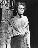 RICHARD ATTENBOROUGH 20X24 B&W PHOTO