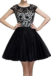 Tulle Short Lace 2015 Homecoming Dress/Prom Dress 