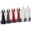 DK Fashion 100% Womens Beautiful Pashmina Shawl