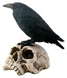 Realistic Raven Perched on Skull Gothic Decor 'Soul Guardian'