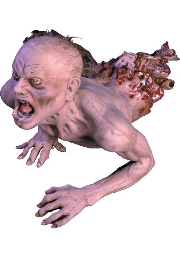 Costumes For All Occasions DU1112 Creeping Zombie