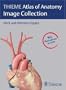 THIEME Atlas of Anatomy Image Collection--Neck and Internal Organs (Thieme Atlas of Anatomy Series)