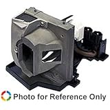 OPTOMA PRO250X Projector Replacement Lamp with Housing