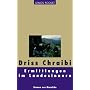 Ermittlungen im Landesinnern: Roman aus Marokko