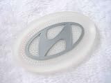 Hyundai SAGE