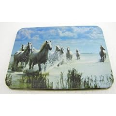American Mustang Messer - Mustangs - Sammlermesser - Fantasy